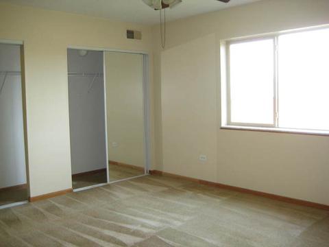 6835 Forestview Dr #2B, Oak Forest, IL 60452 photo 6
