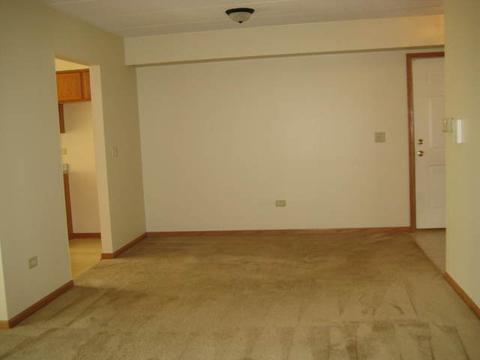 6835 Forestview Dr #2B, Oak Forest, IL 60452 photo 14