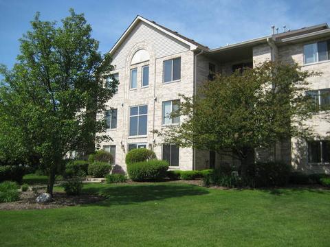 6835 Forestview Dr #2B, Oak Forest, IL 60452 photo 1