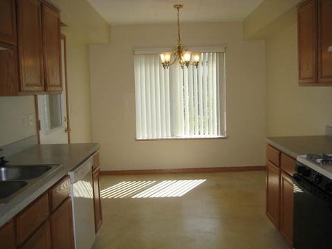 6835 Forestview Dr #2B, Oak Forest, IL 60452 photo 3