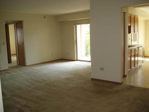 6835 Forestview Dr #2B, Oak Forest, IL 60452 photo 20