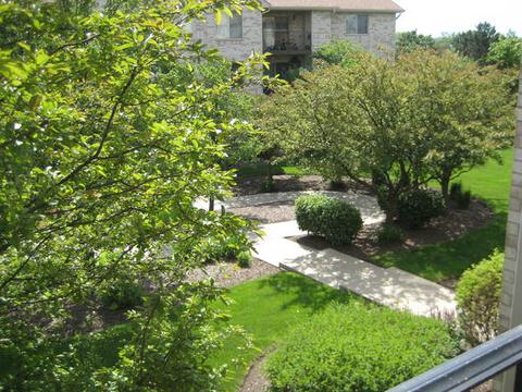 6835 Forestview Dr #2B, Oak Forest, IL 60452 photo 18