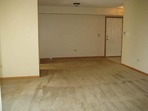 6835 Forestview Dr #2B, Oak Forest, IL 60452 photo 12