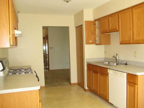 6835 Forestview Dr #2B, Oak Forest, IL 60452 photo 4