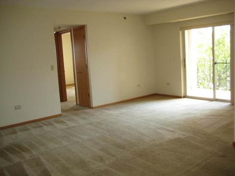 6835 Forestview Dr #2B, Oak Forest, IL 60452 photo 2