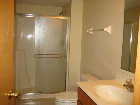 6835 Forestview Dr #2B, Oak Forest, IL 60452 photo 8
