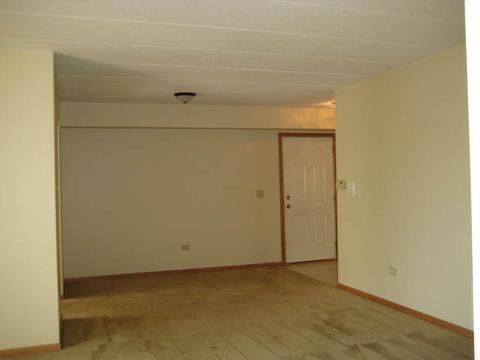 6835 Forestview Dr #2B, Oak Forest, IL 60452 photo 11