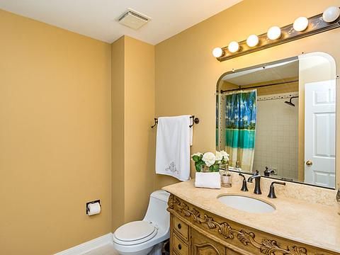 1462 Applegate Dr, Naperville, IL 60565 photo 18