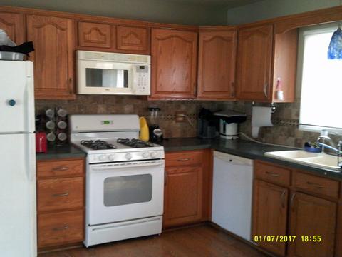 801 Shuler St, Elgin, IL 60123 photo 3