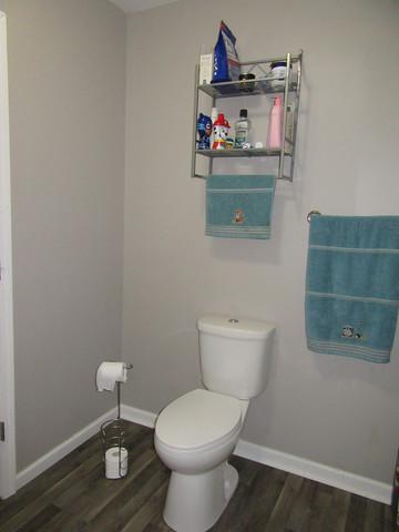 409 E Fine St, Ashkum, IL 60911 photo 21