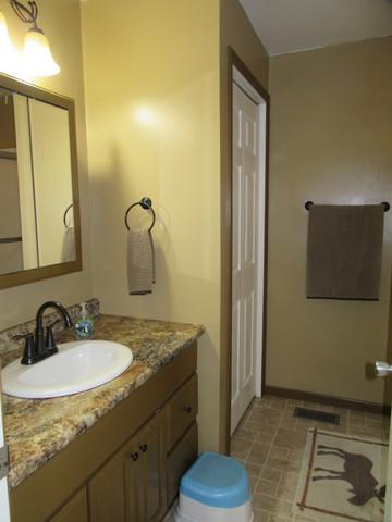 409 E Fine St, Ashkum, IL 60911 photo 23