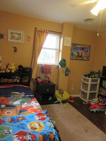 409 E Fine St, Ashkum, IL 60911 photo 19