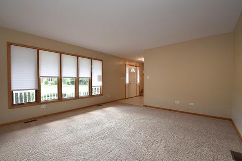 19327 Kylemore Ln, Mokena, IL 60448 photo 5