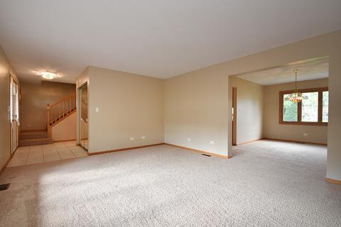 19327 Kylemore Ln, Mokena, IL 60448 photo 6