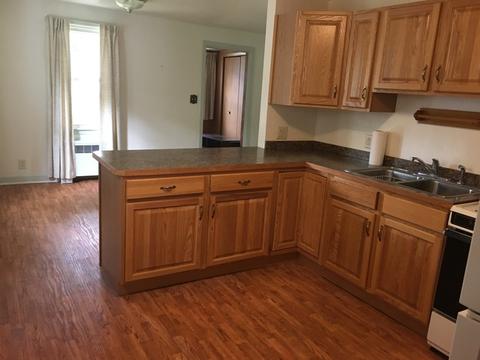 608 N Chicago St, Dwight, IL 60420 photo 5