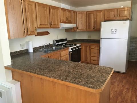 608 N Chicago St, Dwight, IL 60420 photo 4