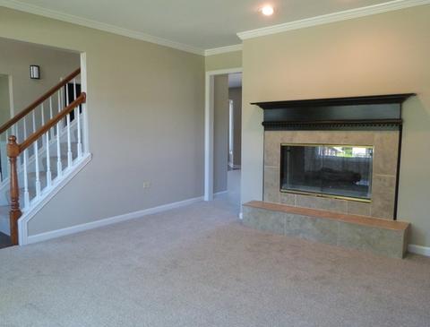 1705 Chestnut Hill Rd, Plainfield, IL 60586 photo 9