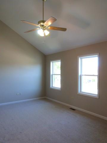 1705 Chestnut Hill Rd, Plainfield, IL 60586 photo 19