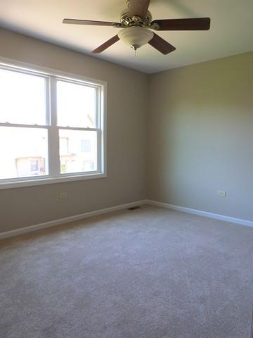 1705 Chestnut Hill Rd, Plainfield, IL 60586 photo 25