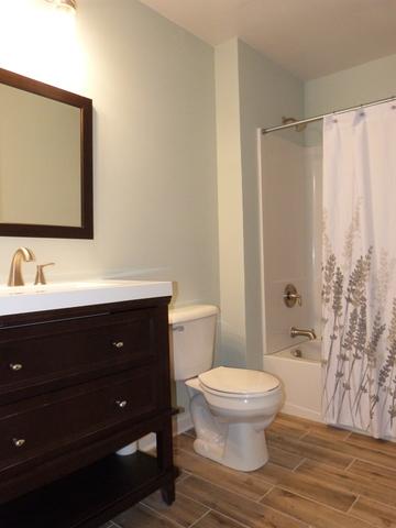 1705 Chestnut Hill Rd, Plainfield, IL 60586 photo 26