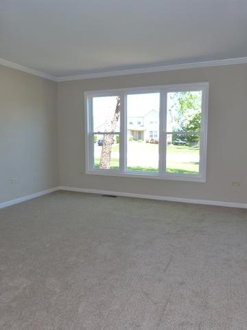 1705 Chestnut Hill Rd, Plainfield, IL 60586 photo 10