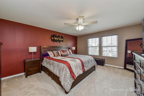 25319 Declaration Dr, Plainfield, IL 60544 photo 10
