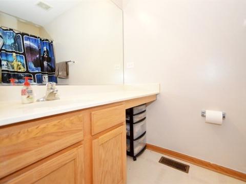 1716 Prairieside Dr, Plainfield, IL 60586 photo 20