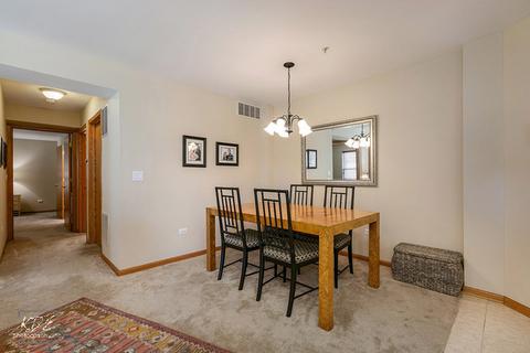 21229 W Walnut Dr #D, Plainfield, IL 60544 photo 12