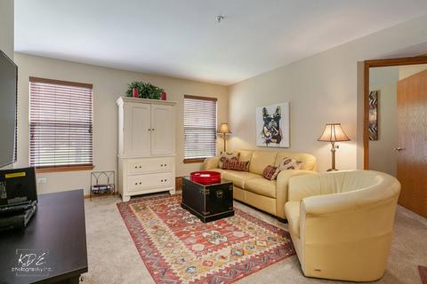 21229 W Walnut Dr #D, Plainfield, IL 60544 photo 3