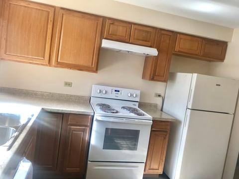 1450 Wing St #4A, Elgin, IL 60123 photo 2