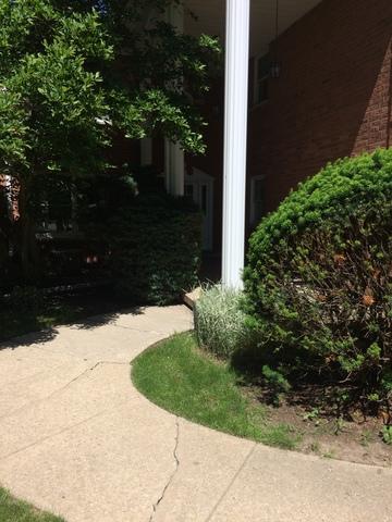 1450 Wing St #4A, Elgin, IL 60123 photo 12