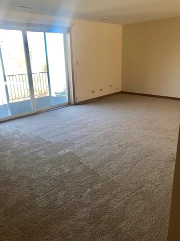 1450 Wing St #4A, Elgin, IL 60123 photo 7
