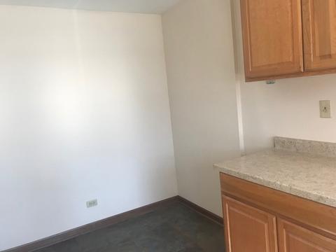 1450 Wing St #4A, Elgin, IL 60123 photo 9