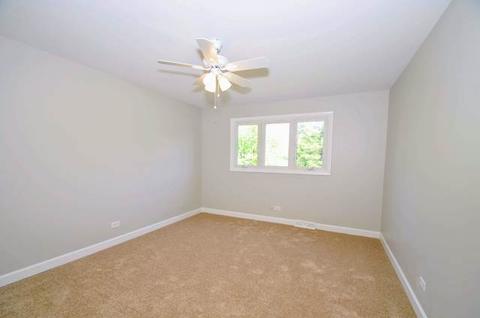 20900 Corinth Rd, Olympia Fields, IL 60461 photo 28