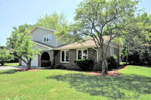 20900 Corinth Rd, Olympia Fields, IL 60461 photo 3