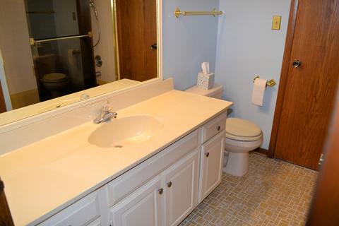 18443 Maple St, Lansing, IL 60438 photo 15