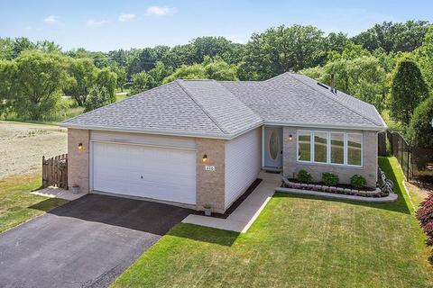 220 Crystal Ln, Steger, IL 60475 photo 1
