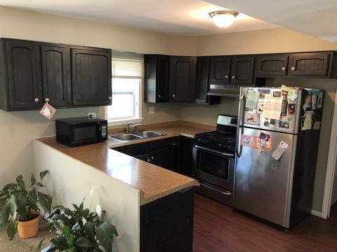 184 S Lyle Ave, Elgin, IL 60123 photo 2