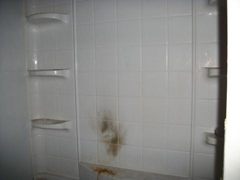 16130 St Louis Ave, Markham, IL 60428 photo 9