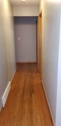20338 Harding Ave, Olympia Fields, IL 60461 photo 13