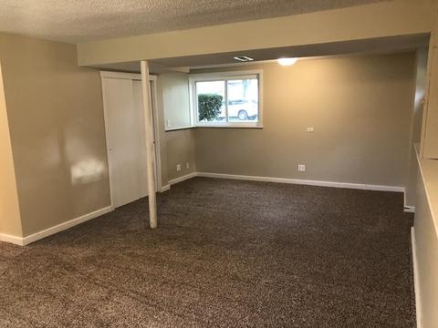 618 Bryn Mawr Ave, Bartlett, IL 60103 photo 20