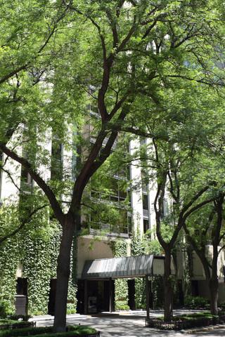 100 E Bellevue Pl #4B, Chicago, IL 60611 photo 1