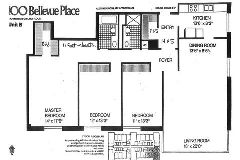 100 E Bellevue Pl #4B, Chicago, IL 60611 photo 16