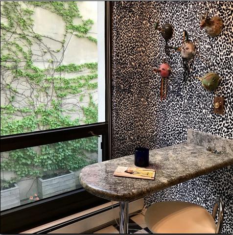 100 E Bellevue Pl #4B, Chicago, IL 60611 photo 7