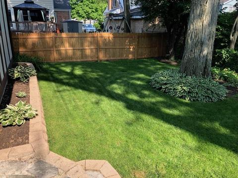 817 Howard St, Wheaton, IL 60187 photo 3