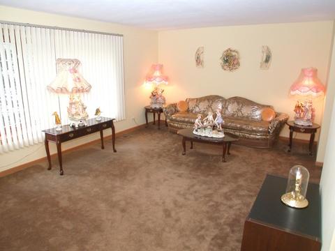 868 Middleton Ln, Bartlett, IL 60103 photo 5