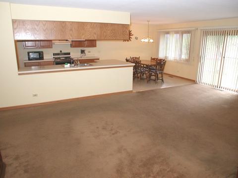 868 Middleton Ln, Bartlett, IL 60103 photo 13