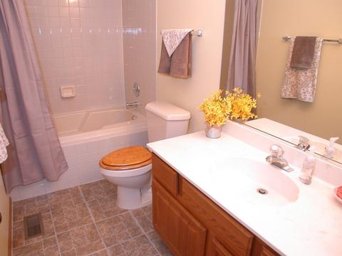 868 Middleton Ln, Bartlett, IL 60103 photo 33
