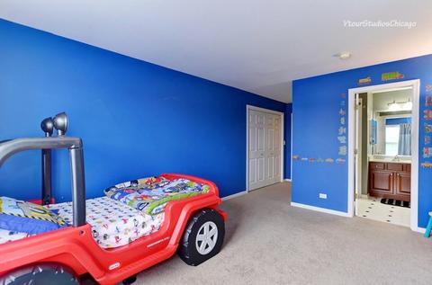 695 Union Ave, Bartlett, IL 60103 photo 36