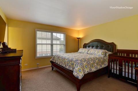 695 Union Ave, Bartlett, IL 60103 photo 38